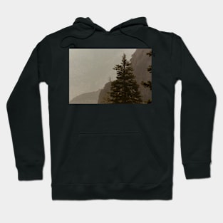 Rock Canyon Hoodie